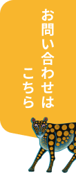 お問い合わせはこちら
